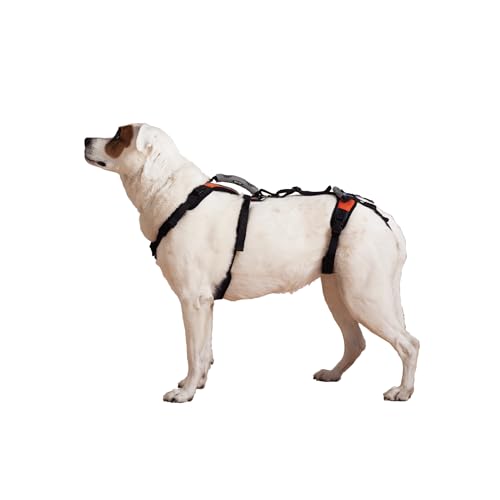 Help 'Em Up Harness